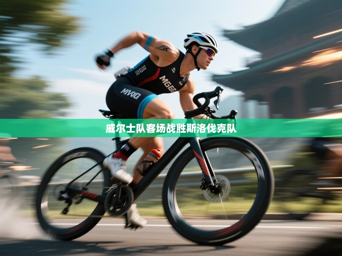 威尔士队客场战胜斯洛伐克队  第1张